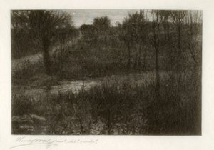 Aftenstjernen (motiv fundet i Catskills) af Henry Wolf