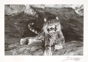 Tiger af Henry Wolf
