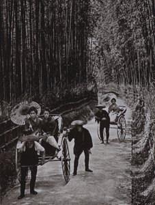 A Bamboo Avenue i Kyoto (s/h foto) af Herbert Ponting