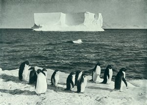 A Berg Drifting in McMurdo Sound, c19101913, 1913. af Herbert Ponting