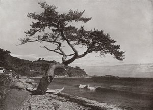 Atami (s/h foto) af Herbert Ponting