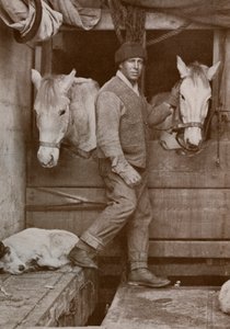 Kaptajn Oates og ponyer på Terra Nova, c1910-1912, 1913. af Herbert Ponting