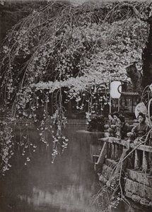 Cherry-Blossom Time i Japan (s/h foto) af Herbert Ponting