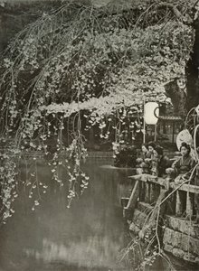 Cherry-Blossom Time i Japan, 1910. af Herbert Ponting