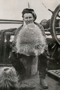D. G. Lillie, med nogle af de siliciumholdige svampe, c1911, 1913 af Herbert Ponting