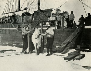 Afskibning af ponyerne, c19101913, 1913 af Herbert Ponting