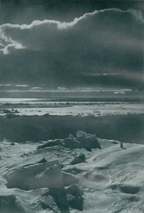 Aftenscene i flokken, c19101913, 1913 af Herbert Ponting