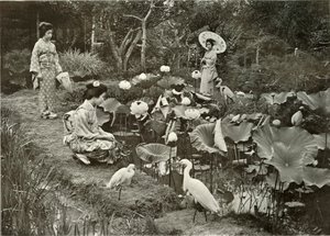 I Lotus-Land, 1910. af Herbert Ponting