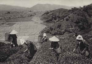 Japan i 1920