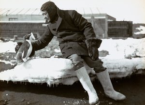 Mand med en pingvin under den engelske ekspedition til Antarktis af Herbert Ponting