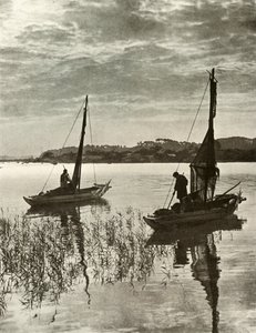 Ved Tokyo-bugten, 1910. af Herbert Ponting