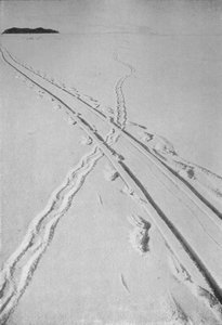 Sledge Track Crossing An Adélie Penguins Track, 8. december 1911, 1913 af Herbert Ponting