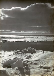 Solnedgang på flokken af Herbert Ponting