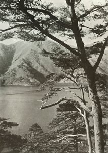 Hotel Across The Lake, Shoji, 1910. af Herbert Ponting