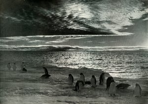 Midnatssolen i McMurdo Sound, c19101913, 1913 af Herbert Ponting