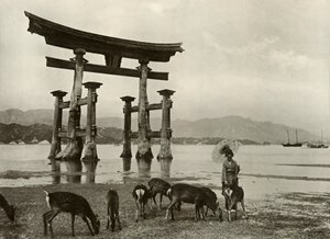 Den gamle Torii ved Miyajima, 1910. af Herbert Ponting
