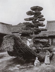 Pine-Tree Junk ved Kinkakuji (s/h foto) af Herbert Ponting