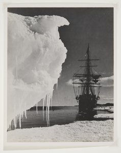 Terra Nova ved isfoden (bromidtryk) af Herbert Ponting
