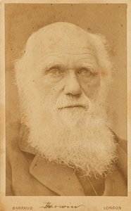 Portræt af Charles Darwin 1809-1882, 1881.