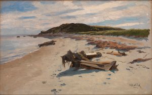 Cape Cod, Strand af Herman Hartwich