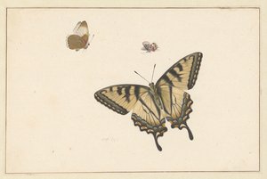 Tre sommerfugle af Herman Henstenburgh