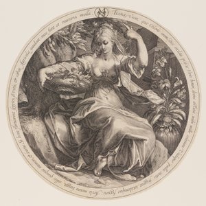 Flora af Herman Jansz. Muller