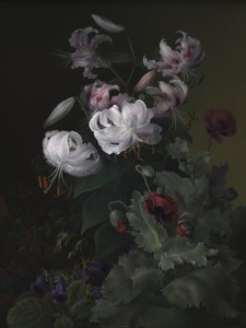  af Hermania Sigvardine Neergaard