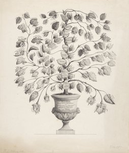 Stamtræ for House of Orange-Nassau af Hermanus Johannes Abbring