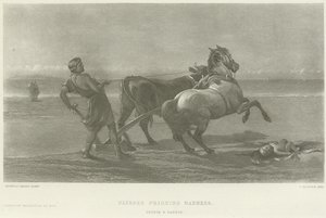 Ulysses foregiver galskab (dybtryk)