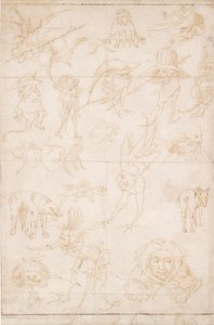 Groteske Studier, c1500-1520 af Hieronymus Bosch