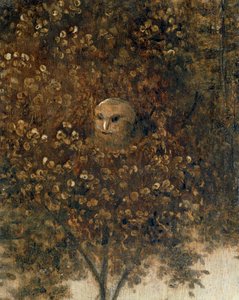 La Nef de Fous - De dummes skib ... af Hieronymus Bosch