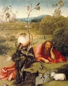 "" Sankt Johannes Døberen døsede i naturen "" Maleri af Hieronymus Van Aeken (Aken) siger Jerome Bosch (1450-1516) 1504-1505 Madrid. Lazaro Galdiano Foundation af Hieronymus Bosch