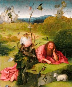 Johannes Døberen i ørkenen, slutningen af det 15. århundrede. af Hieronymus Bosch