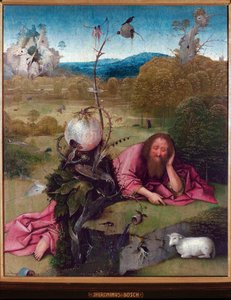 Sankt Johannes Døberen i ørkenen - Maleri af Jeronimus van Aken, af Jerome (Hieronymus) Bosch (ca. 1450 -1516), olie på træ, 48,5x40 cm, ca. 1489 - Madrid, Museo Lazaro Galdiano af Hieronymus Bosch