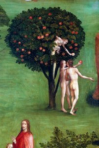 Tryptic of the Last Judgement, venstre panel. Adam og Eva i paradis, detalje (maleri på træ, ca. 1504) af Hieronymus Bosch
