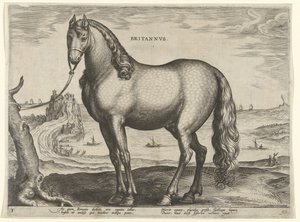 Hest fra Bretagne (Brittanus) Britannvs (titel på objekt) Hesteracer fra de kongelige stalde i Don Juan af Østrig (serietitel) Equile Ioannis Austriaci Caroli (serietitel) af Hieronymus Wierix