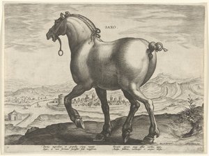Hest fra Sachsen Saxo (titel på objekt) Hesteracer fra de kongelige stalde i Don Juan af Østrig (serietitel) Equile Ioannis Austriaci Caroli (serietitel)