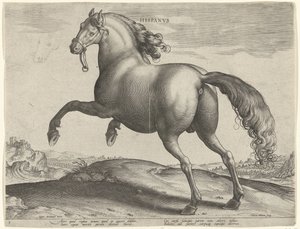 Hest fra Spanien (Hispanus Alter) Hispanvs (titel på objekt) Hesteracer fra de kongelige stalde i Don Juan af Østrig (serietitel) Equile Ioannis Austriaci Caroli (serietitel) af Hieronymus Wierix
