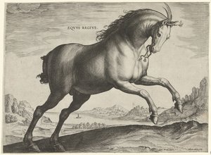 Hest af racen Equus Regius (den kgl.) Eqvvs Regivs (titel på objekt) Hesteracer fra de kongelige stalde i Don Juan af Østrig (serietitel) Equile Ioannis Austriaci Caroli (serietitel)
