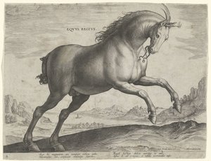 Hest af racen Equus Regius (den kgl.) Eqvvs Regivs (titel på objekt) Hesteracer fra de kongelige stalde i Don Juan af Østrig (serietitel) Equile Ioannis Austriaci Caroli (serietitel) af Hieronymus Wierix