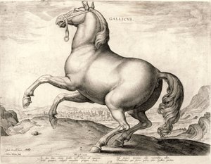 Gallicus fra serien Heste fra stalden af Don Juan af Østrig (gravering på væv)