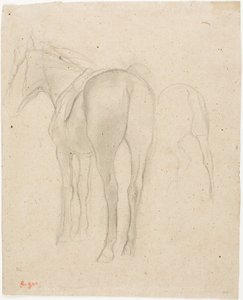 Studier af en hest af Hilaire Germain Edgar Degas