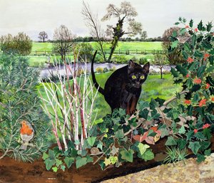 Vinter kat