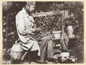 Bayard Jardinier af Hippolyte Bayard