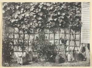 La Treille