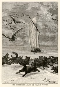 Og nogle gange en flok prærieulve, fra Jorden rundt på firs dage af Jules Verne (1828-1905) indgraveret af Louis, 1873