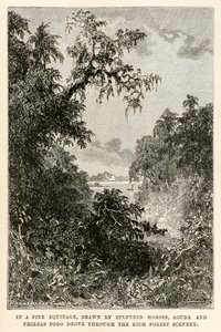 I et fint udstyr, tegnet af pragtfulde heste, kørte Aouda og Phileas Fogg gennem det rige skovlandskab, fra Jorden rundt på firs dage af Jules Verne (1828-1905) graveret af Henri-Théophile