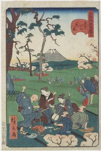 Nr. 5, kirsebærblomster ved Asuka Hill