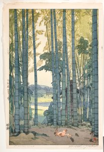 Bambuslund