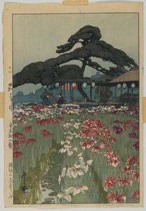 Iris Garden i Horikiri, fra serien, Twelve Scenes of Tokyo, Showa-æra af Hiroshi Yoshida